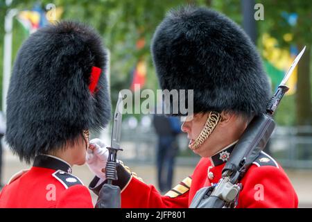 Un paquebot de rue Coldstream Guards est nourri d'un doux par un sergent à Trooping The Color, Colonel’s Review dans le Mall, Londres, Angleterre, Royaume-Uni Banque D'Images