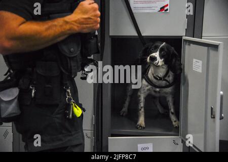 Silverstone, Royaume-Uni. 04th juillet 2022. SILVERSTONE, Angleterre, 03. JUILLET 2022; chien de recherche de drogue avec garde, contrôle d'un casier, Formule un, GRAND Prix BRITANNIQUE F1 sur le circuit de Silverstone - Formel 1 Grosser Preis von England, 03. JUILLET 2022 - image, photo et Copyright © Anthony STANLEY/ATP images (STANLEY Anthony/ATP/SPP) crédit: SPP Sport Press photo. /Alamy Live News Banque D'Images