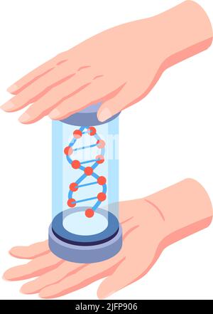 Clonage humain isométrique recherche sur l'adn composition de laboratoire avec des mains humaines tenant tube avec illustration de vecteur de molécule d'adn Illustration de Vecteur