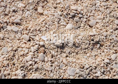 Sable fait de galets dans une plage de l'île de Cozumel, Quintana Roo, Mexique. Banque D'Images