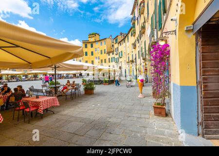 L'ancien amphithéâtre, aujourd'hui un lieu de rassemblement avec des cafés et des boutiques, la Piazza del Anfiteatro, dans la ville toscane fortifiée de Lucques, en Italie. Banque D'Images