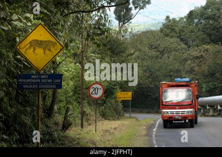 La signalisation de passage de la faune avec un dessin de léopard Javan (Panthera pardus melas) est photographiée dans un arrière-plan d'un camion qui se déplace sur une route à la zone de projet géothermique Chevron sur le mont Salak à Sukabumi, à l'ouest de Java, en Indonésie. Les léopards sont souvent vus dans la région. Banque D'Images