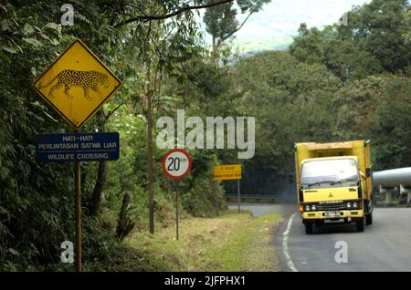 La signalisation de passage de la faune avec un dessin de léopard Javan (Panthera pardus melas) est photographiée dans un arrière-plan d'un camion qui se déplace sur une route à la zone de projet géothermique Chevron sur le mont Salak à Sukabumi, à l'ouest de Java, en Indonésie. Les léopards sont souvent vus dans la région. Banque D'Images