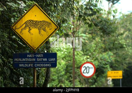 Signalisation de passage de la faune avec dessin de léopard Javan (Panthera pardus melas) à la zone du projet géothermique Chevron sur le mont Salak à Sukabumi, à Java Ouest, en Indonésie. Les léopards sont souvent vus dans la région. Banque D'Images