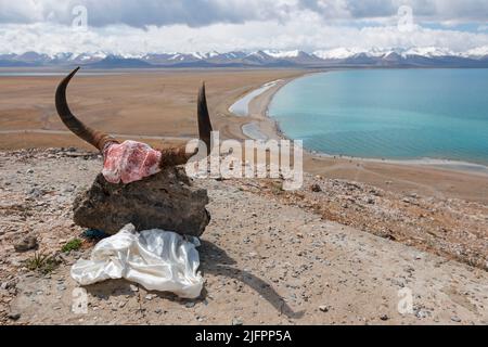 Vue aérienne du lac Namtso au Tibet et crâne de Yak, Chine Banque D'Images