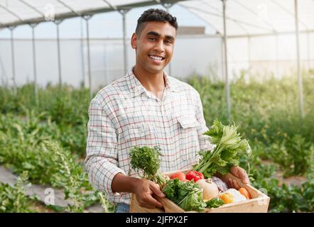 Vous pouvez créer de nombreux plats délicieux avec ceux-ci. Portrait d'un jeune homme tenant une caisse de produits frais tout en travaillant sur une ferme. Banque D'Images