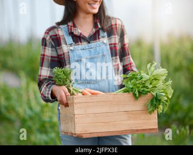 Ce sont les plus belles récompenses de la nature. Gros plan d'une femme méconnue tenant une caisse de produits frais sur une ferme. Banque D'Images