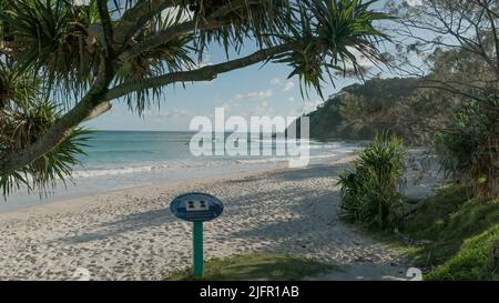 BYRON BAY, AUSTRALIE - 3 2021 NOVEMBRE : gros plan de surfeurs sur la plage de Wategos, le matin du printemps à byron Bay Banque D'Images