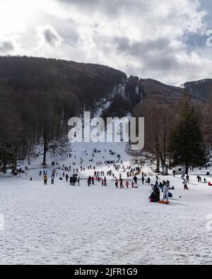 Laceno, Campanie, Italie, 2022 février. Vue sur la piste de ski de Laceno en hiver Banque D'Images