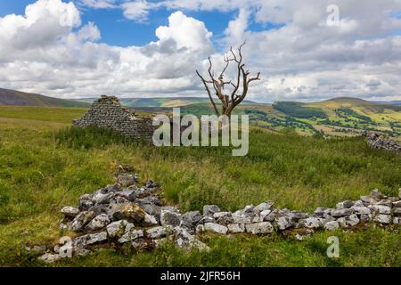 La grange basse de vache est une grange en ruines dans le Peak District. Retour Tor et Kinder Scout dans la distance Banque D'Images