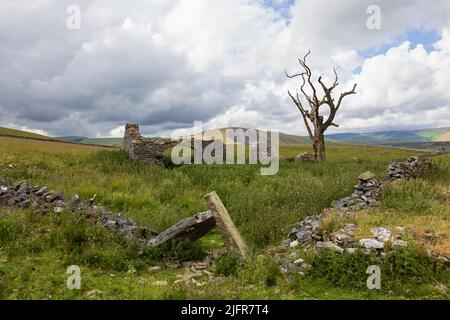 La basse grange de vache est une grange ruinée dans le Peak District.situé au-dessus de Winnats Pass il donne sur la vallée de l'espoir et MAM Tor Banque D'Images