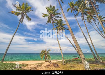 Vue à angle bas de la plage avec des cocotiers contre le ciel bleu avec des nuages minces à Pantai Jambu Bongkok dans le district de Marang de Terengganu, Malaisie. Banque D'Images