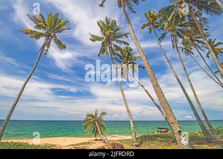 Vue à angle bas de la plage avec des cocotiers contre le ciel bleu avec des nuages minces à Pantai Jambu Bongkok dans le district de Marang de Terengganu, Malaisie. Banque D'Images