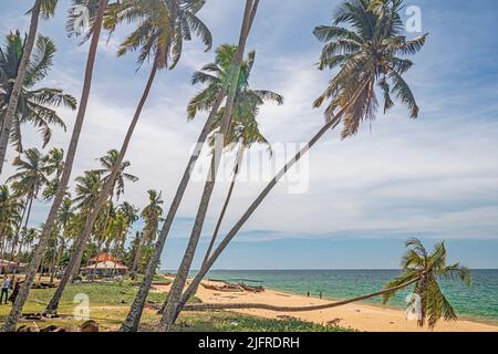 Vue à angle bas de la plage avec des cocotiers contre le ciel bleu avec des nuages minces à Pantai Jambu Bongkok dans le district de Marang de Terengganu, Malaisie. Banque D'Images