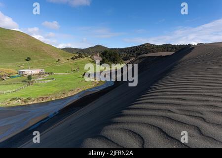 Des dunes de sable noir géantes à l'intérieur des terres, près de Bethells Beach, mènent au lac Wainumu, qui fait partie de la réserve régionale de Bethells Beach. Auckland, Nouvelle-Zélande, C Banque D'Images