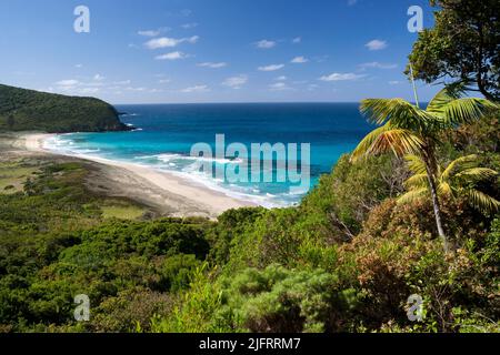 Blinky Beach, à l'est de l'île Lord Howe, Nouvelle-Galles du Sud, Australie., Credit:Robin Bush / Avalon Banque D'Images