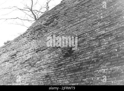 Partie des murs de la vieille ville dans le Kronenburgerpark entre la tour de Kronenburger de 1425, populairement connu sous le nom de Kruittoren, et le Rondeel 'pied romain' de 1527, pour la restauration de 1971/1972 Banque D'Images