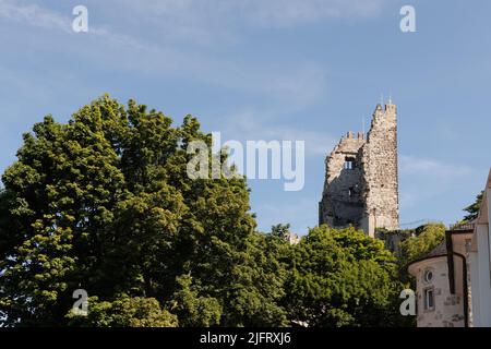 Drachenfels Railway, une ligne de chemin de fer à crémaillère dans la région de Rhénanie-du-Nord-Westphalie, en Allemagne. De Königswinter au sommet de Drachenfels Mountain Banque D'Images