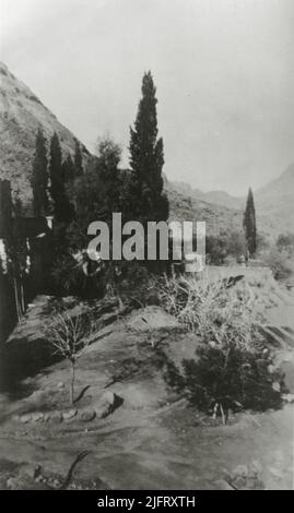 Monastère de Sainte Catherine, péninsule du Sinaï, Égypte. 1930s. "Une petite oasis près du monastère. Cette oasis a été transformée en une ferme fruitière fertile produisant une grande variété de pommes, pêches, raisins, olives, citrons et oranges. Qui répondent tous aux besoins des moines et de leurs visiteurs ». Banque D'Images