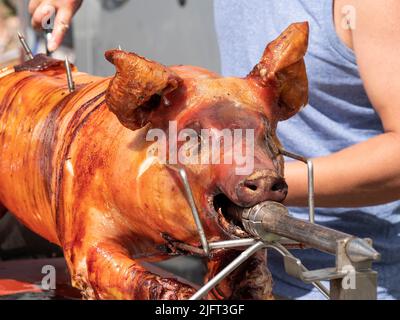 Devant un cochon de lait grillé sur une broche Banque D'Images