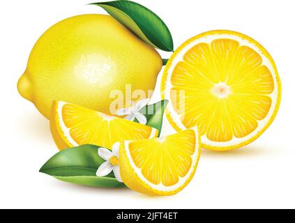 Agrumes citron demi-tranche entière avec feuilles et fleurs composition réaliste sur illustration vectorielle blanche Illustration de Vecteur