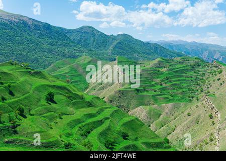 Terres agricoles en terrasse sur les pentes de montagne du Dagestan Banque D'Images