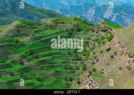 paysage de montagne avec terrasses agricoles vertes sur les pentes Banque D'Images