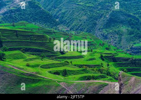 paysage de montagne avec terrasses agricoles vertes sur les pentes Banque D'Images