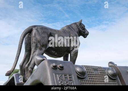 Bristol Downs, Bristol, Royaume-Uni. 5th juillet 2022. Une fierté de 25 Lions de bronze a été placée sur Bristol Downs. Les sculptures fournies par l'organisme de bienfaisance Born Free qui espère sensibiliser la population sauvage de Lion en déclin. Chaque sculpture est basée sur un véritable Lion; à la base de chaque sculpture se trouve une petite bio, dont certaines sont difficiles à lire. Les sculptures sont faites par Gillie et Marc. Crédit : JMF News/Alay Live News Banque D'Images