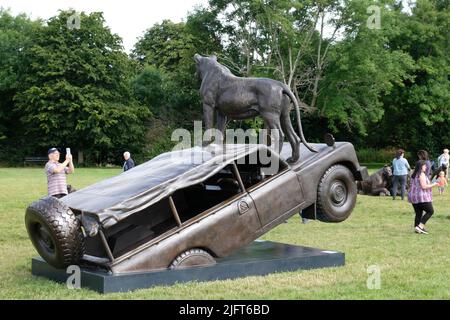 Bristol Downs, Bristol, Royaume-Uni. 5th juillet 2022. Une fierté de 25 Lions de bronze a été placée sur Bristol Downs. Les sculptures fournies par l'organisme de bienfaisance Born Free qui espère sensibiliser la population sauvage de Lion en déclin. Chaque sculpture est basée sur un véritable Lion; à la base de chaque sculpture se trouve une petite bio, dont certaines sont difficiles à lire. Les sculptures sont faites par Gillie et Marc. Crédit : JMF News/Alay Live News Banque D'Images