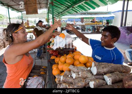 Cuba, Santa Clara, petit marché où sont vendus les oranges et la cassave ou le manioc. Banque D'Images