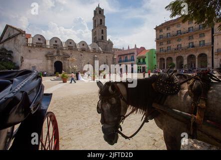 Cuba, la Havane, Plaza de San Francisco avec couvent et la Fuente de los Leones. Un couple juste marié prend des photos en face de la fontaine. Banque D'Images