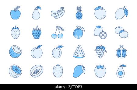 Illustration des fruits et des croûtes de baies avec icônes - fraise, pomme, ananas, framboise, grenade, avocat, noix de coco. L'art sur les traits fins Illustration de Vecteur