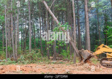 La purification des terres pour la construction de maisons dans le complexe résidentiel est déracinée par les arbres et la déforestation Banque D'Images