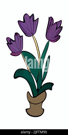 Les tulipes violettes isolées sur fond blanc vertical. Motif fleuri. Illustration de Vecteur