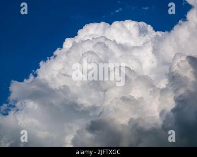 Nuage de pluie massif, Cumulus congestus, dans le ciel bleu Banque D'Images