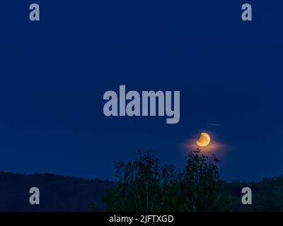 éclipse lunaire sur 16 mai 2022 de la République tchèque. Lune bas au-dessus de l'horizon avec des arbres Banque D'Images
