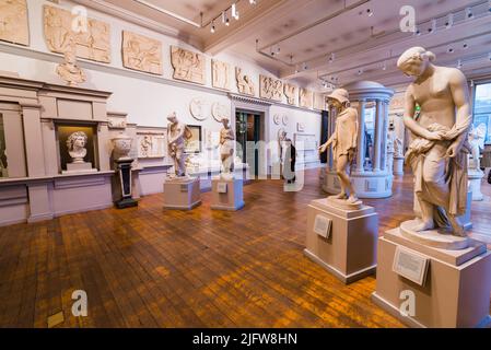 Galerie de sculptures. Walker Art Gallery est une galerie d'art de Liverpool, qui abrite l'une des plus grandes collections d'art d'Angleterre à l'extérieur de Londres. C'est le cas Banque D'Images