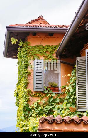 Maison colorée avec ivy sur la façade. Rue de saint Vigile - S. Vigilio. Città Alta - haute ville. Bergame, Lombardie, Italie, Europe Banque D'Images