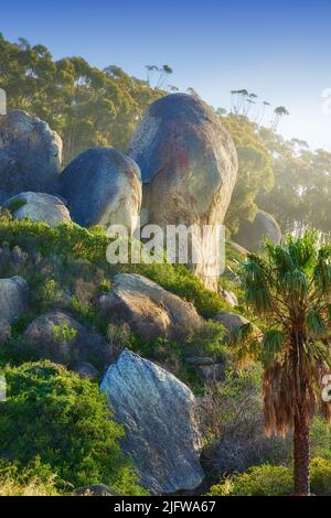 Colline rocheuse luxuriante avec d'énormes rochers près d'une forêt tropicale en Afrique du Sud. Magnifique paysage naturel de verdure et de randonnée montagneuse Banque D'Images