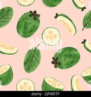 Motif de fruits Feijoa sans couture. Illustration de l'aquarelle vectorielle avec des fruits et des feuilles exotiques Illustration de Vecteur