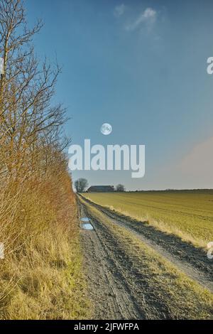 Vue sur une route de terre dans la campagne humide près d'un champ de blé au printemps au Danemark. Voie de disparition avec des ornières profondes et des flaques dans la prairie après Banque D'Images