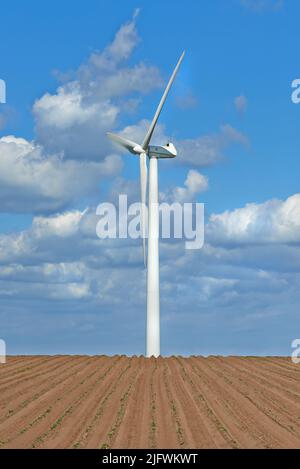 Éoliennes sur une ferme avec des cultures nouvellement plantées. Journée nuageuse sur terre agricole où l'énergie éolienne est la principale ressource. Produire durable Banque D'Images