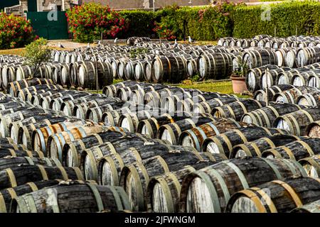Dans la cour de l'installation de production de Noilly Prat à Marseillan (France), de vieux fûts de chêne sont stockés pour une année entière. Le vin blanc, jusqu'à 75 pour cent du pipoul cultivé dans la région, est exposé au vent et au soleil. La proximité de la mer influence également le goût du vin Banque D'Images