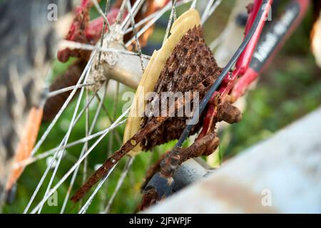 Gros plan d'un vieux vélo rouillé. La chaîne est détruite sur les pignons. MTB deux roues est une découverte de mer (Seefunde). Banque D'Images