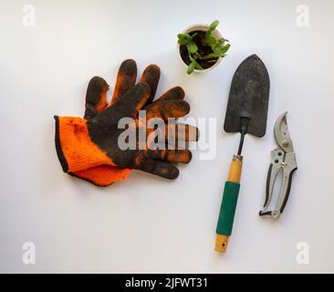 Gants orange à côté des outils de jardin et une petite plantule sur une table blanche Banque D'Images