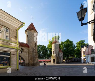 Tallinn, Estonie. Juillet 2022. Vue panoramique de l'ancienne porte de la ville de Viru dans le centre-ville Banque D'Images