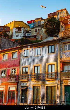 Architecture de la vieille ville avec façades carrelées au coucher du soleil, Porto, Portugal Banque D'Images