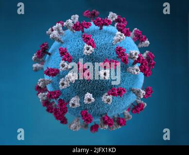 Cette illustration fournit une représentation graphique en 3D d'une particule de virus de la rougeole de forme sphérique, qui a été clouée avec des tubercules de glycoprotéine. Ces goujons tubéroculaires colorisent le boron, sont connus sous le nom de protéines H (hémagglutinine), alors que ceux colorisés gris, représentent ce que l'on appelle les protéines F (fusion). La protéine F est responsable de la fusion du virus et des membranes des cellules hôtes, de la pénétration virale et de l'hémolyse. La protéine H est responsable de la liaison des virions aux cellules. Crédit CDC/A.M.Maiuri, A.Eckert Banque D'Images