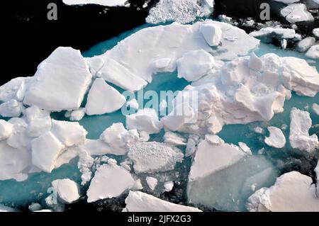 La floe. OCÉAN ARCTIQUE - une banquise glisse le long du côté tribord du couteau de la Garde côtière Healy. Océan Arctique, août (2009) crédit : P.Kelley, USCG Banque D'Images